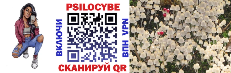 Псилоцибиновые грибы Magic Shrooms  Купить где  Сельцо 